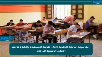 رابط نتيجة الثانوية الأزهرية 2025.. طريقة الاستعلام بالرقم ومواعيد الإعلان الرسمية للدرجات